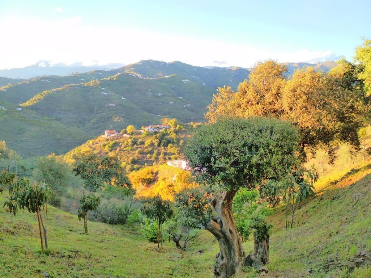 Encinas Costa Del Sol Chalet